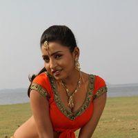 Marudhavelu Movie Hot Stills | Picture 116044